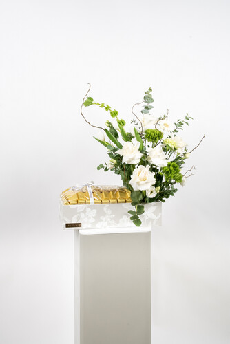 VICTORIOUS CHOCOLATE 2