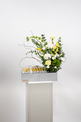 VICTORIOUS CHOCOLATE 3