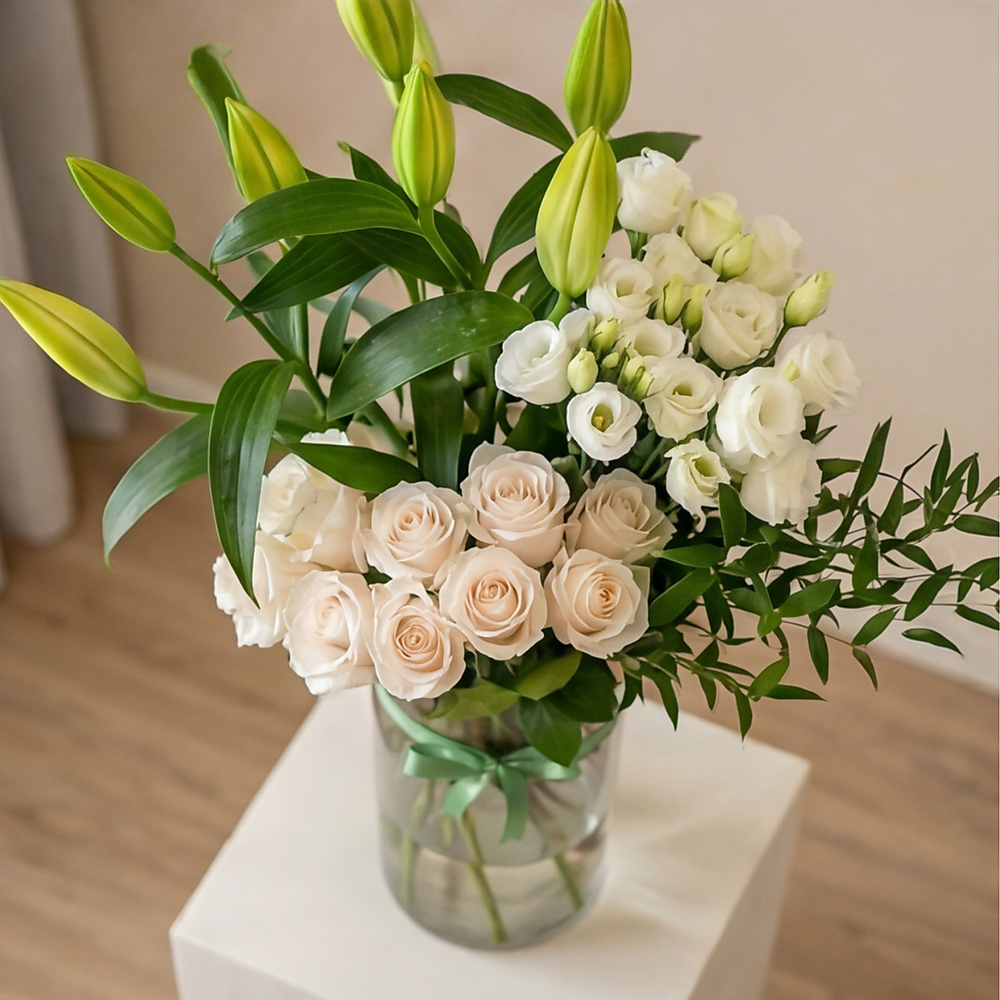 ورود بالفازه 26