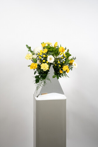 THE MAGICIAN BERMUDA 3