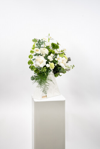 THE MAGICIAN BERMUDA 2