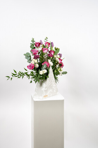 THE MAGICIAN BERMUDA 1