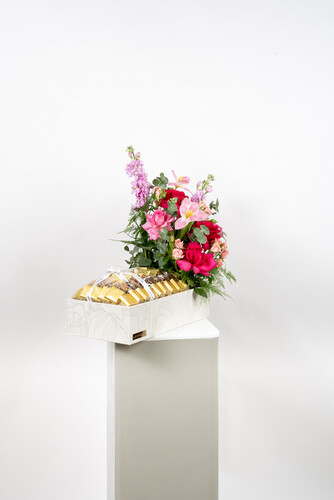 VICTORIOUS CHOCOLATE 1