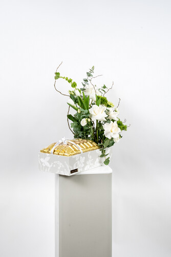 VICTORIOUS CHOCOLATE 2