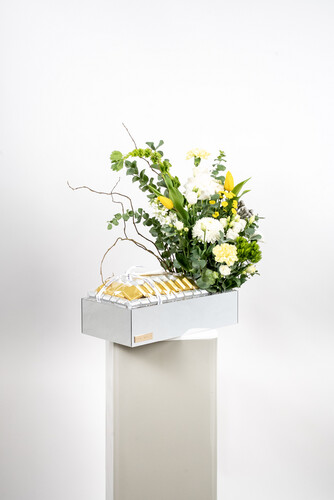 VICTORIOUS CHOCOLATE 3