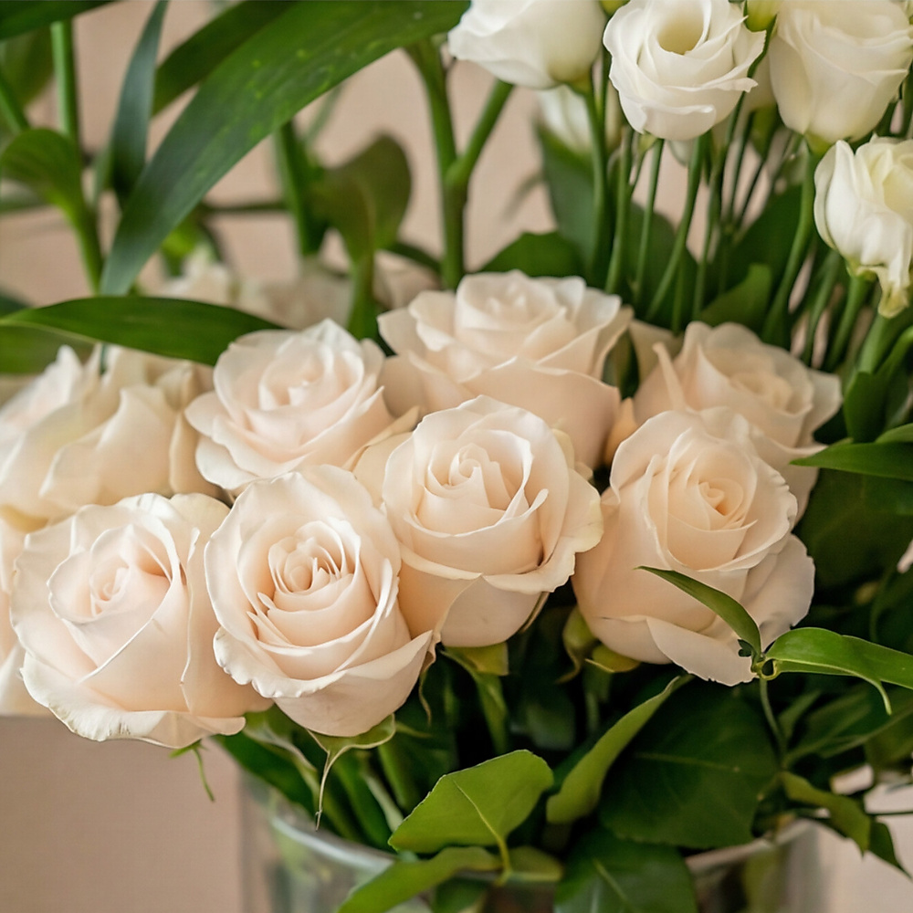 ورود بالفازه 26