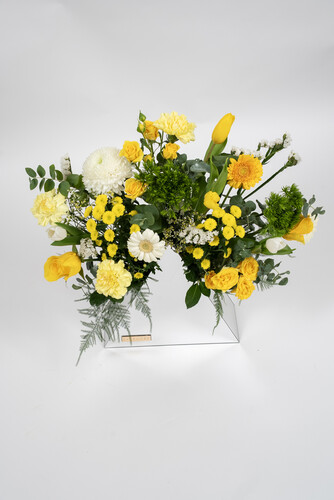 THE MAGICIAN BERMUDA 3