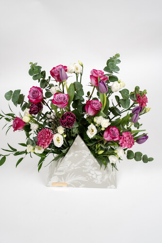 THE MAGICIAN BERMUDA 1