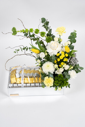 VICTORIOUS CHOCOLATE 3