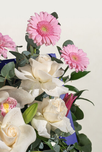 WINDOW FLOWERS ( PURPLE)