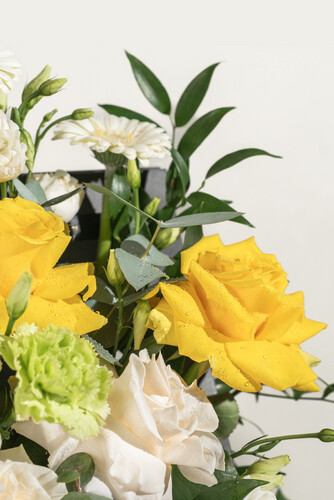 WINDOW FLOWERS ( BLAC )