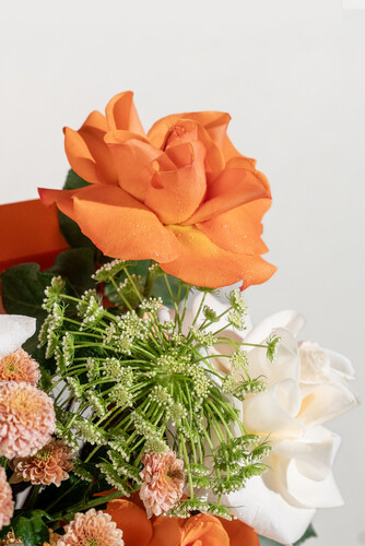 WINDOW FLOWERS ( ORANGE )