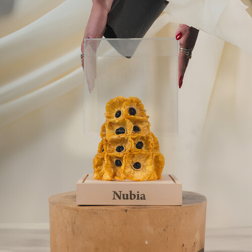 أناناس مجفف مع بلوبيري