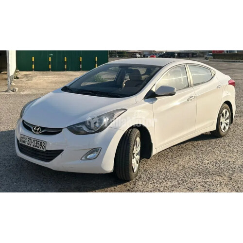 Hyundai Elantra 2010-2014