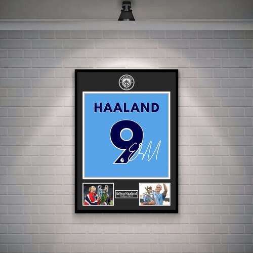 إيرلينق هالاند