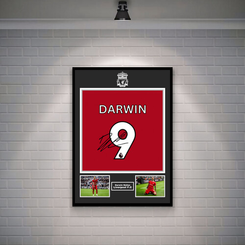 داروين نونيز