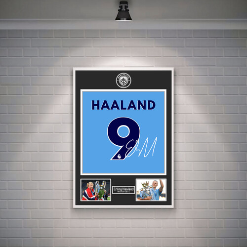 إيرلينق هالاند