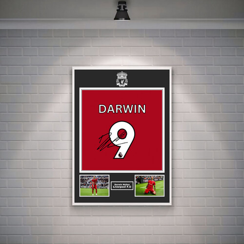 داروين نونيز