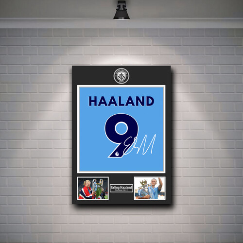 إيرلينق هالاند