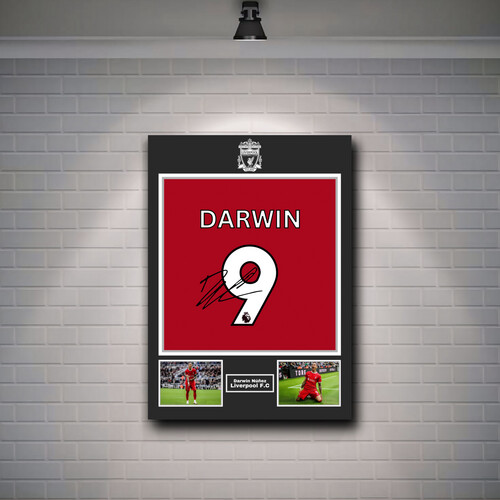 داروين نونيز