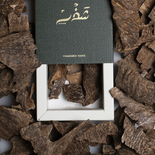 Lawsi Personal and occasions