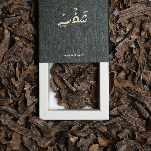 Indian Mori Occasions