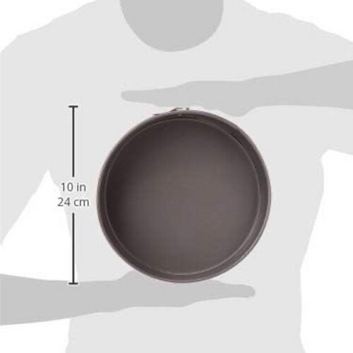 Basics Non-Stick Round Springform Pan, 9-Inch, Stainless Steel