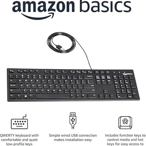 Basics Wired QWERTY Keyboard, Full-Sized, Black