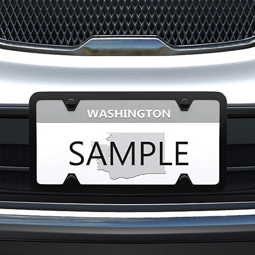 Basics Stainless Steel License Plate Frame Pair with Screw Caps - 4-Hole, 12.2″ x 6.3″, Black
