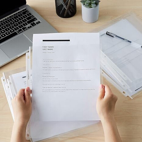 Basics Sheet Protector, Heavy Duty, 100 Pack, Clear