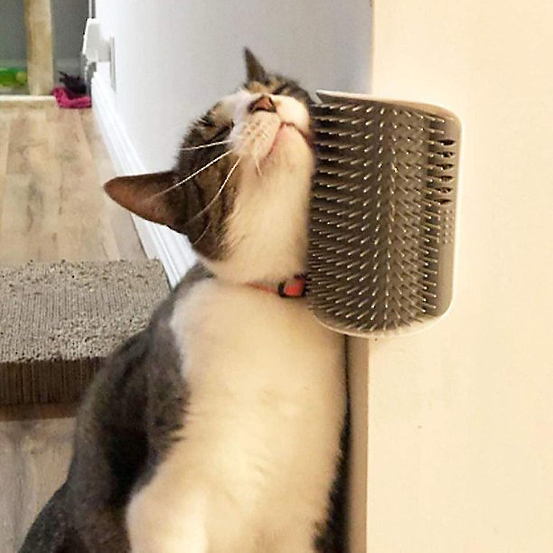 Wall-mounted cat groomer with self-massage comb