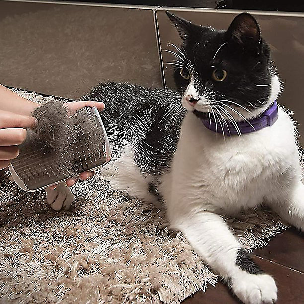Wall-mounted cat groomer with self-massage comb