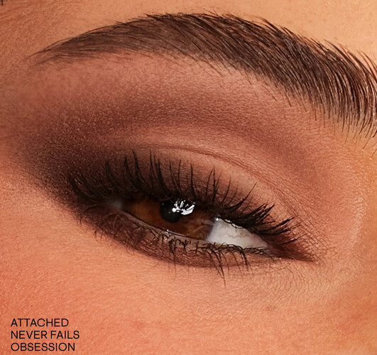 ( medium ) eyeshadow palette