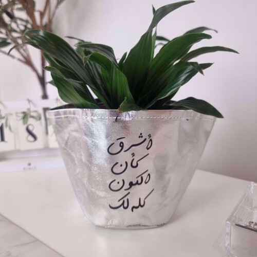 حامل نباتات بجلد فضي