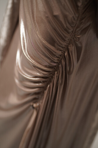 Shiny Bisht