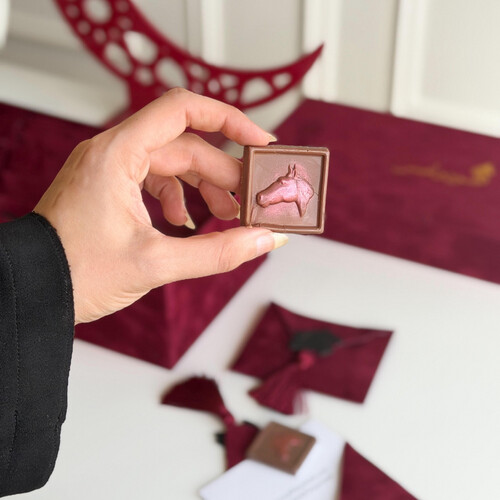 التوزيعات الفاخره