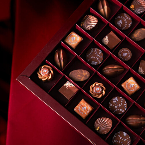 صهيل الشوكولا