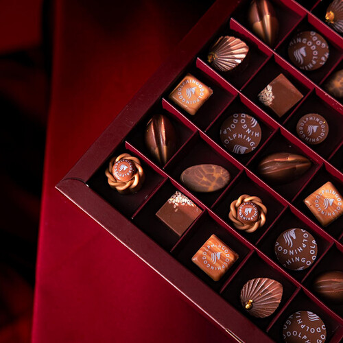 صهيل الشوكولا