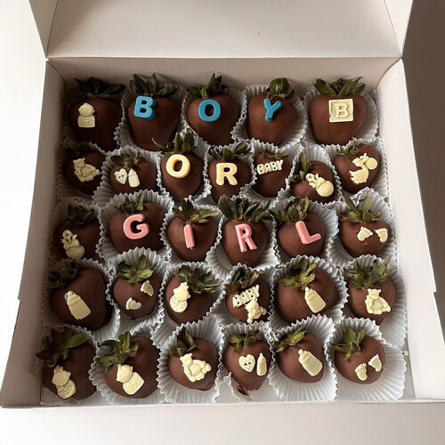 Boy or Girl Theme