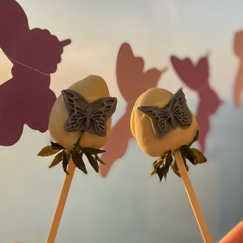 Butterfly Theme