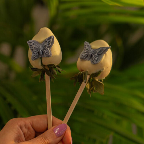 Butterfly Theme