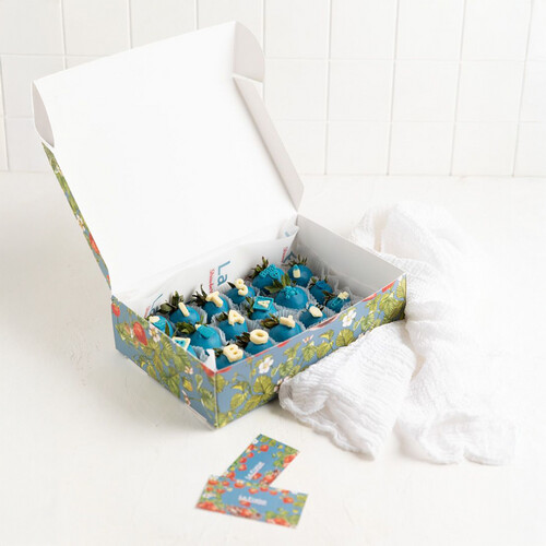 Its a Boy Theme
