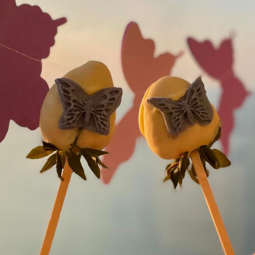Butterfly Theme
