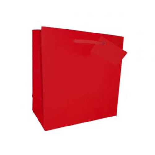 gift bag big