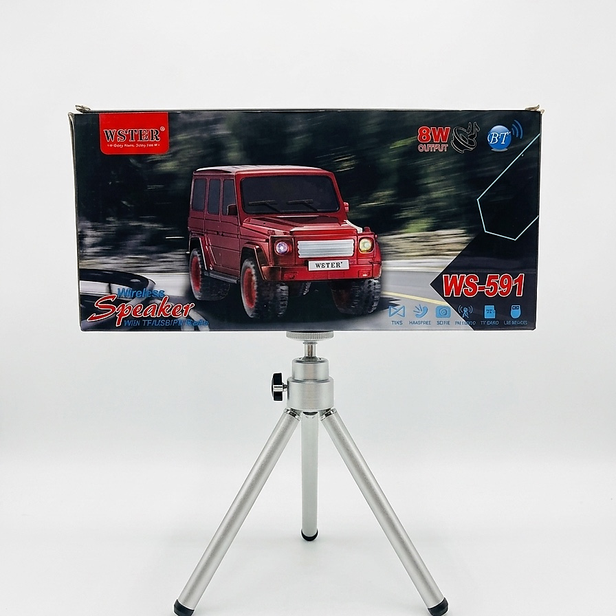 WSTER WS-591