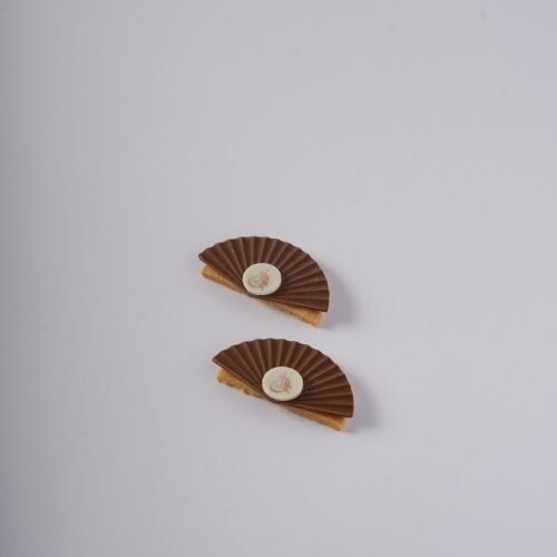 Fan Chocolate with biscuit
