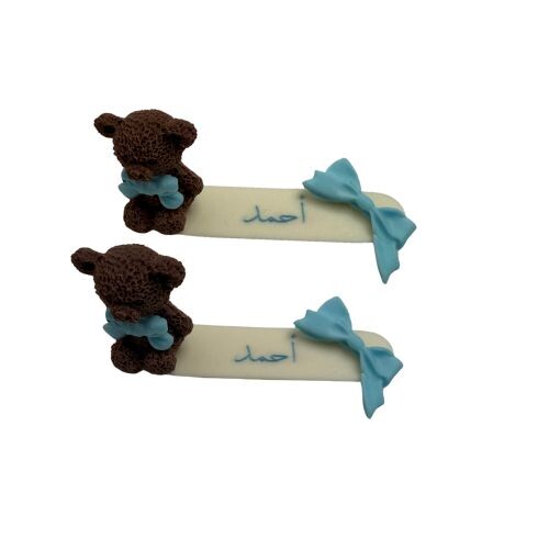 Teddy on Printed curved Chocolate