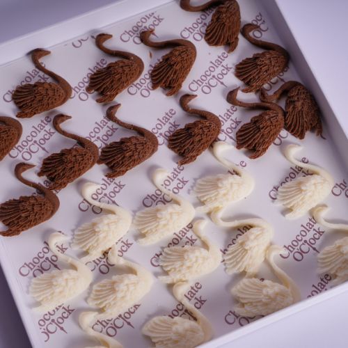 Swan Chocolate
