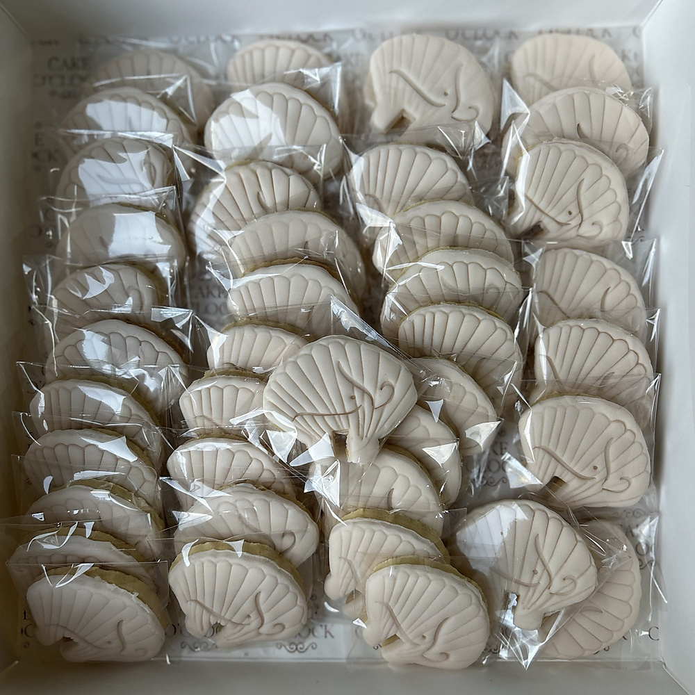 Shell Biscuit