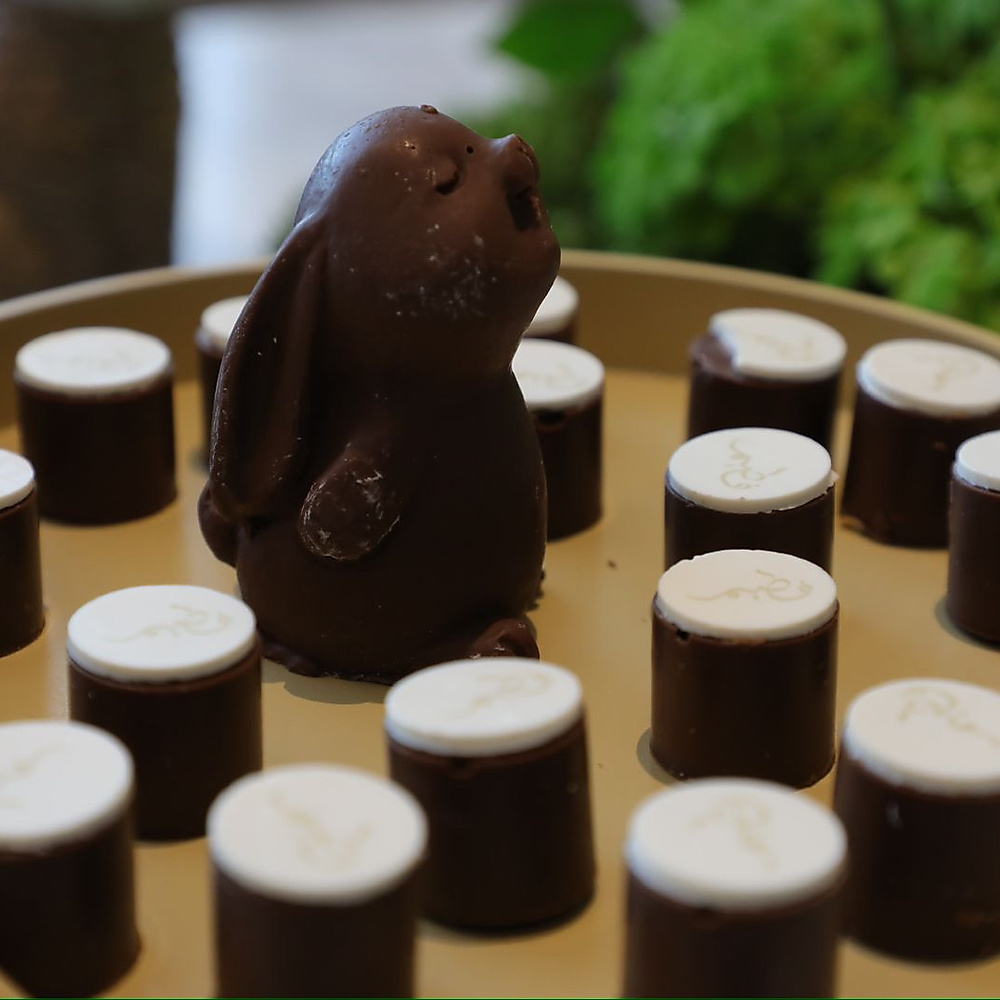 Chocolate Rabbit